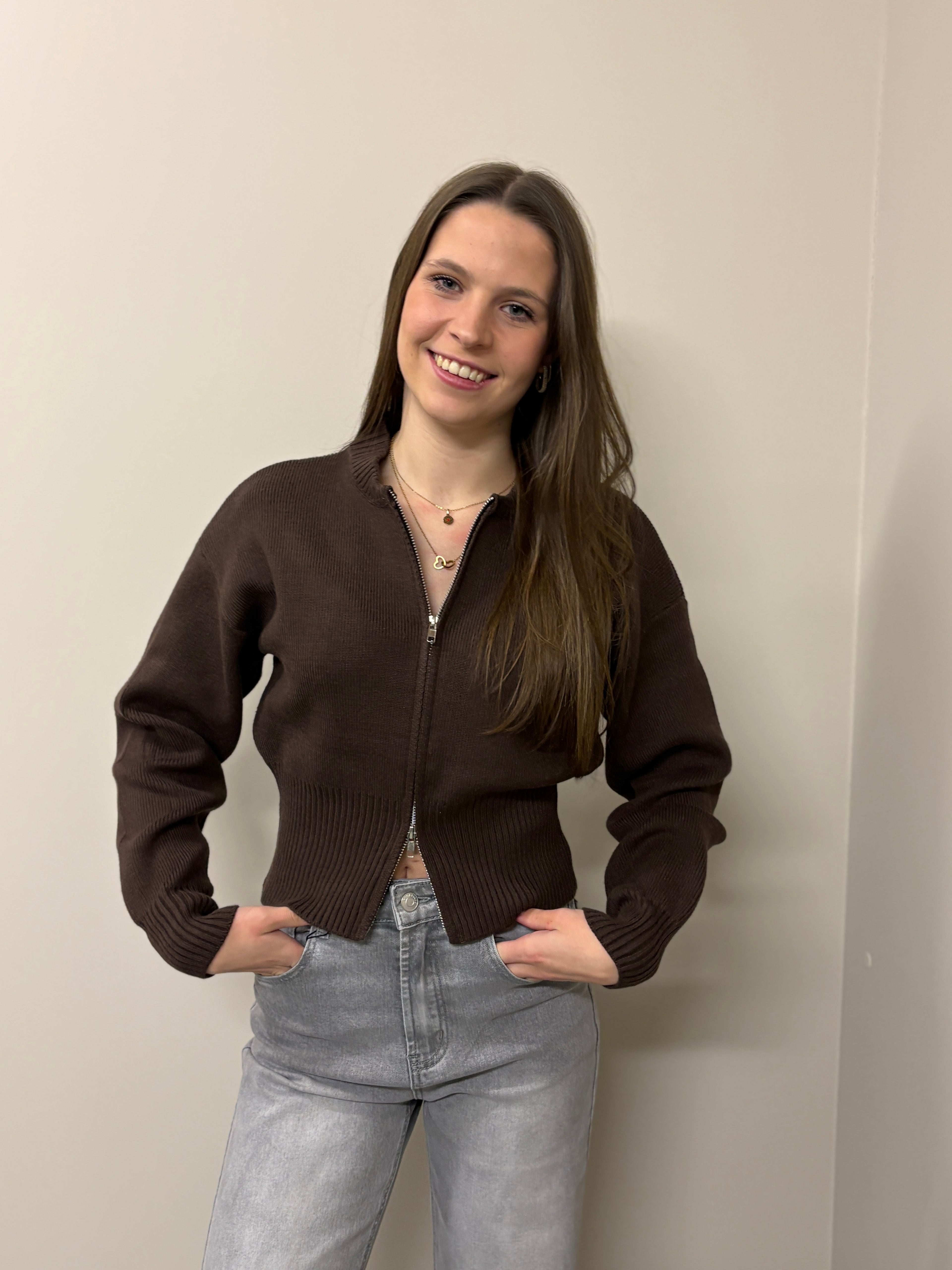 Knitted zip vest - Bruin